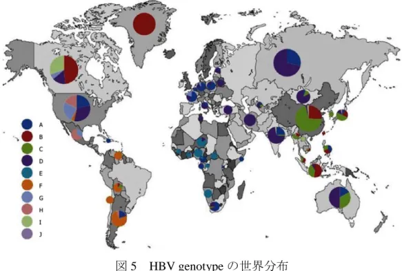 図 5  HBV genotype の世界分布 