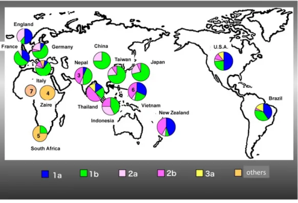 図 2  HCV genotype の世界分布 