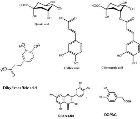 Fig. 1.1. Structures of some polyphenols. 