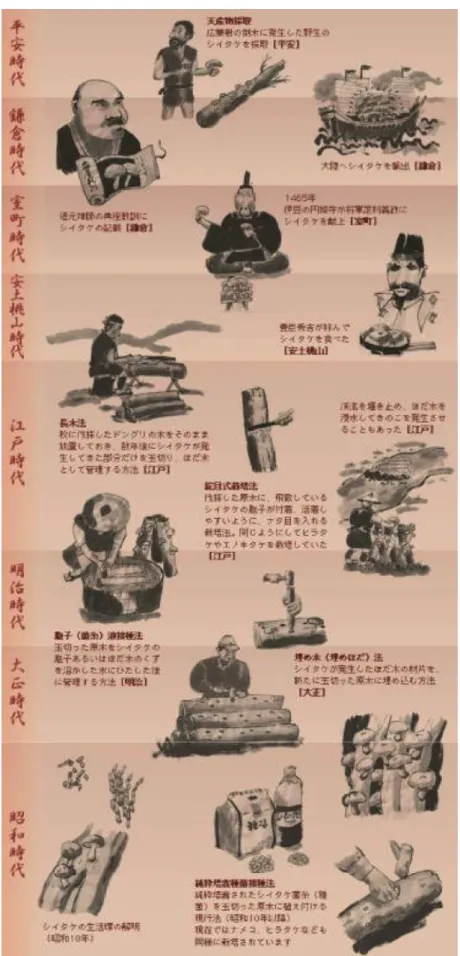 Fig. 1-6  日本人とシイタケの関わり 4)