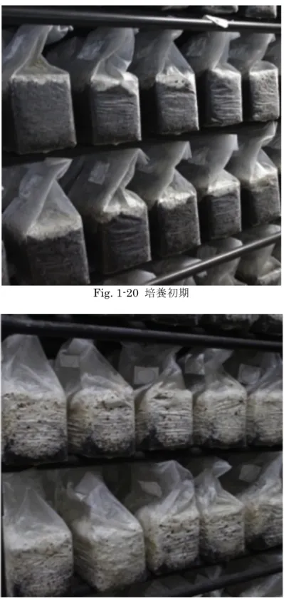 Fig. 1-21  一次培養