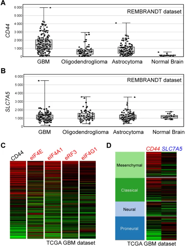 Figure 8. BSH-polyR may contribute to the therapeutic optimization of BSH-BNCT. (A) Expression  levels of CD44 in brain tumor samples were higher than those in normal brains
