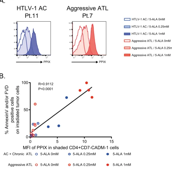 Figure 4.  The cytolytic effects of PDT on tumor cells are depending on PpIX accumulation