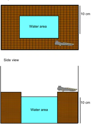 Figure 2. Schematic of the experimental setup used to examine amphibious behavior in mudskippers
