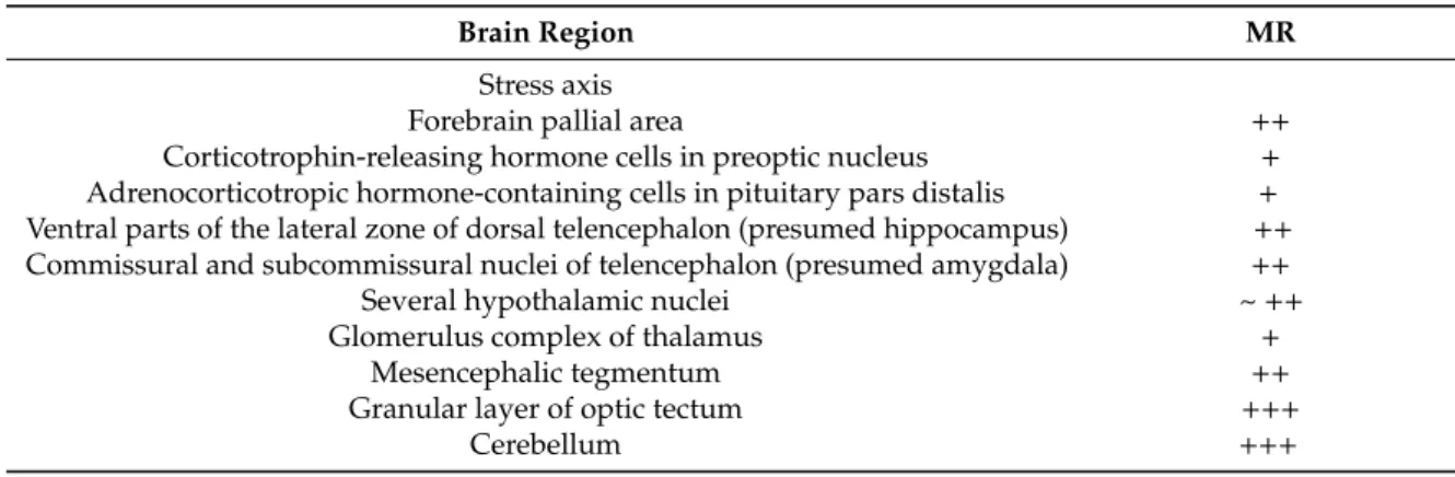 Table 1. Distribution of mineralocorticoid receptor (MR) mRNA in the teleost fish brain.