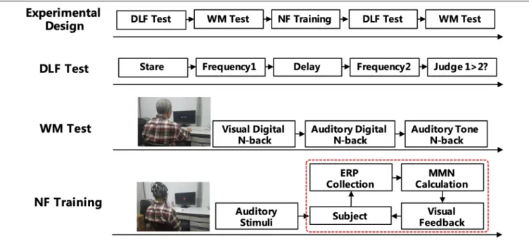 FIGURE 1 | Experimental design of the mismatch negativity (MMN) neurofeedback training.