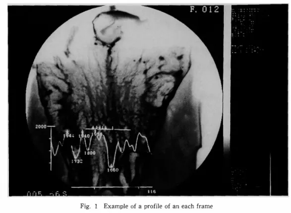 Fig.  1  Example  of  a  profile  of  an  each  frame