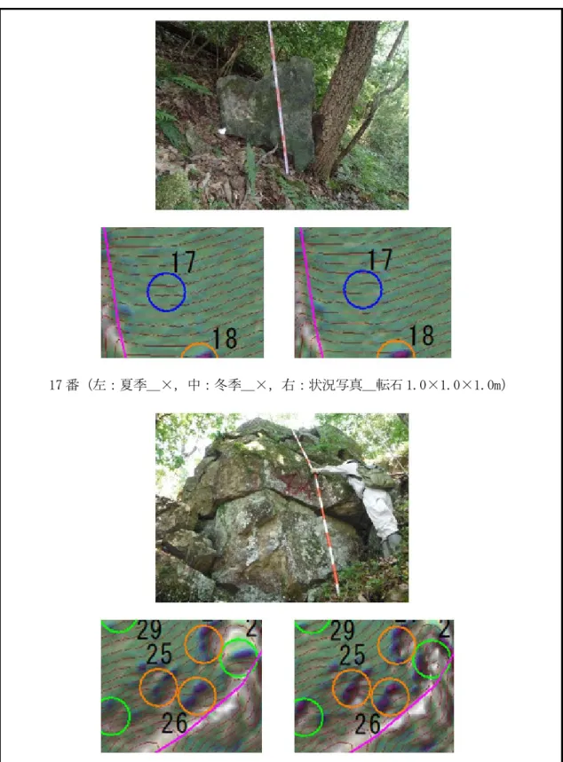 図 4.7.4  落石発生源抽出結果および現況写真（その 2） 