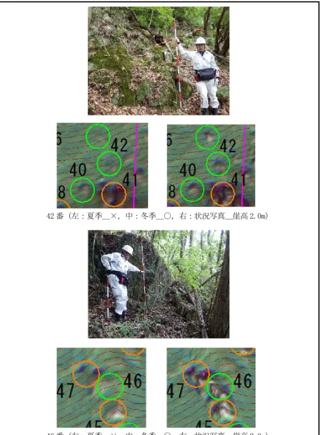 図 4.7.5  落石発生源抽出結果および現況写真（その 3） 