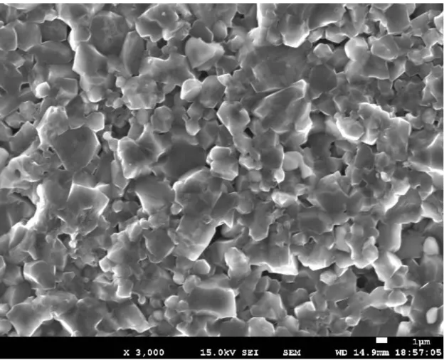 Figure 1.6. Secondary electron image of synthesized BDD. The grain size of granular  BDD is ~1–5 μm