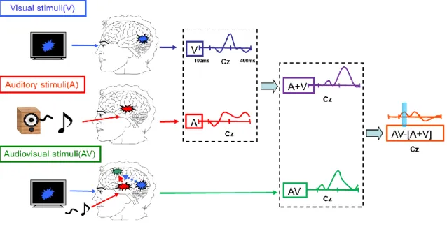 Figure 1.4 Analysis methods of ERPs data in the audiovisual integration study 