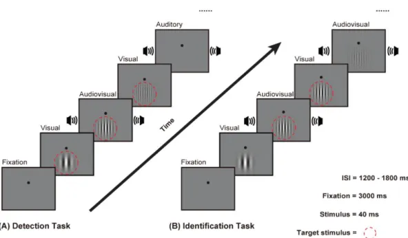 Figure 3.1 Experimental design. (A) Visual detection task. (B) Visual identification task