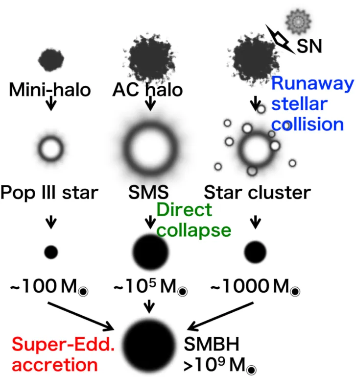 Fig. 1.4 Three SMBH formation models which accelerate the formation of SMBHs in the early universe: the direct collapse model, the super-Eddington model and the runaway stellar collision model.