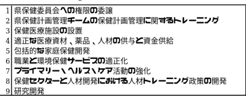 表 4.20 Strategic Health Plan 1995-1996 の重点