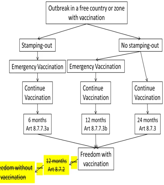 Figure 2.  Schematic representation of the minimum waiting periods and pathways for recovery of  FMD free status after an outbreak in a free country or zone where vaccination is practised  