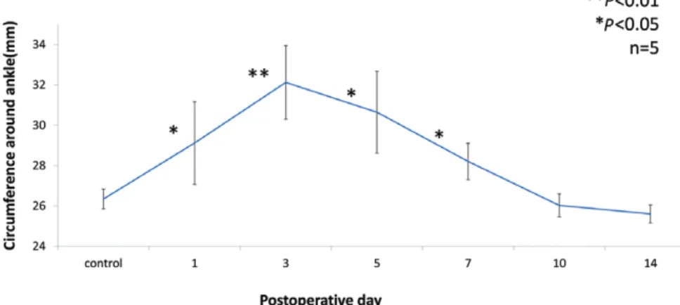 Fig. 4. the ankle circumference temporally increased after the surgery. the circumference  reached a maximum on pOD 3 and returned to baseline on pOD 10