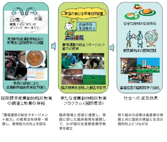 図 3.  本プログラムの概念図  本プログラムはわが国の産業動物臨床教育の国際標準化に向け，特に現状と国際標準の間で隔たりの大きい生産 獣医療学分野の充実を目指すものである。生産獣医療学は，家畜の食と住環境を群単位で管理し，家畜の健康と生 産性を向上させる「農場運営の総合マネージメント能力」の教育であり、わが国における食の安全・安心の確保と 畜産業の国際競争力の強化を支える役割を担う獣医師にとって欠かせない資質である。本プログラムは，若手教員 の海外視察・研修による診療および教育能力の向上を第一の目的とし