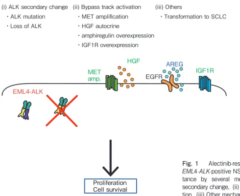 Fig. 1　 Alectinib-resistant  mechanisms.  
