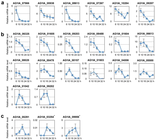 Figure 4.  Expression profiles of RsSEPGs during the inoculation of Rhizoctonia solani AG-1 IA on detached  leaves of Brachypodium distachyon