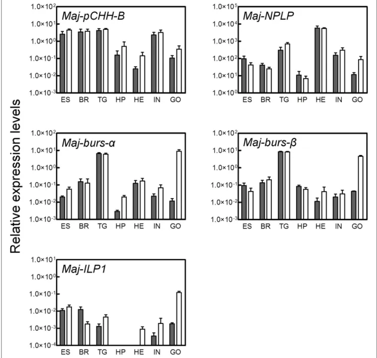FIGURE 4 | Tissue-specific expression analysis of the putative hormones. Gene expression of the putative hormones were examined by qRT-PCR in various tissues (ES, eyestalk; BR, brain; TG, thoracic ganglia; HP, hepatopancreas; HE, heart; IN, intestine; GO, 