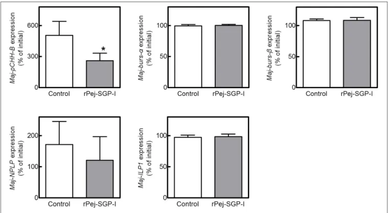 FIGURE 5 | Effect of rPej-SGP-I on mRNA levels of the putative hormones in the ovary. Relative expression levels have been shown as the percentage change relative to that of the initial expression (mean ± SEM, n = 6)