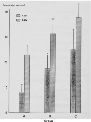 Fig.  5  Myocardial  Adenine  Nucleotide  Content 