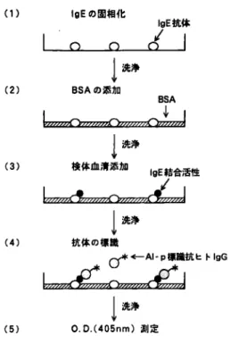 Fig.  1  Procedure  for  measurement  of  IgE  bind ing  activity  using  the  method  of  solid phase  enzyme  immunoassay.