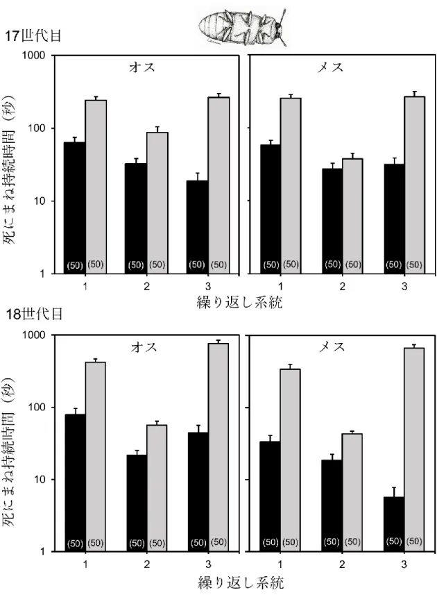 図 3. 3.  死にまね持続時間の歩行選択系統間比較。黒が LW 系統、灰色が SW 系統を