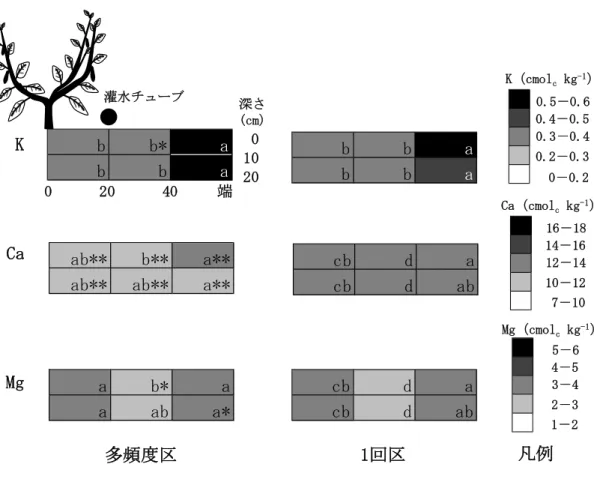 図 3.6 定植後 55 日（10 月）の畝内交換性塩基の分布 注 1）値は同一位置にある区画の 4 断面の平均値とし，深さと通路方向への距離が異なる条件で有意 差がある場合に異なるアルファベットで示す（P ＜ 0.05）． 注 2）*および**は同一区画での 1 回区との有意差を示す（それぞれ p ＜ 0.05，p ＜ 0.01）． 注 3）凡例は，左の数値以上，右の数値未満で示す． cb d acbdabcbd acbdabbbabba1回区 K（cmol c kg -1 ）0.5－0.60.4－0.5