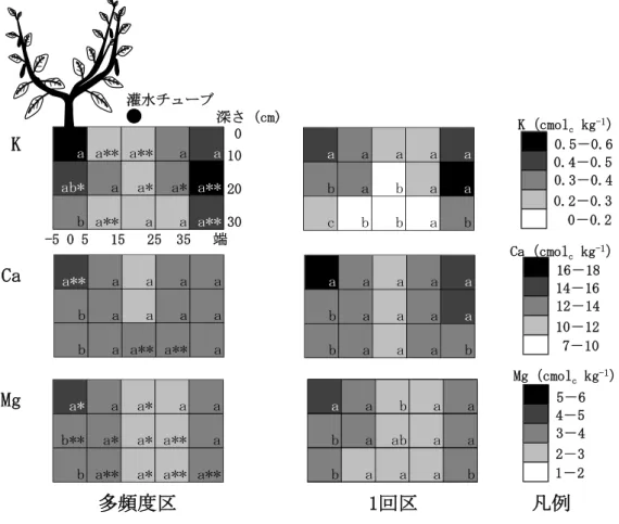 図 3.8 定植後 194,195 日の畝内交換性塩基の分布 注 1）値は同一位置にある区画の 5 断面の平均値とし，同一の通路方向への距離における，深さによ る違いでの有意差を英小文字で示す（P ＜ 0.05）． 注 2）*および**は同一区画での 1 回区との有意差を示す（それぞれ p ＜ 0.05，p ＜ 0.01）． 注 3）凡例は，左の数値以上，右の数値未満で示す． K（cmol c kg -1 ）0.5－0.60.4－0.5 0.3－0.40－0.20.2－0.3Ca（cmolckg-1）16－