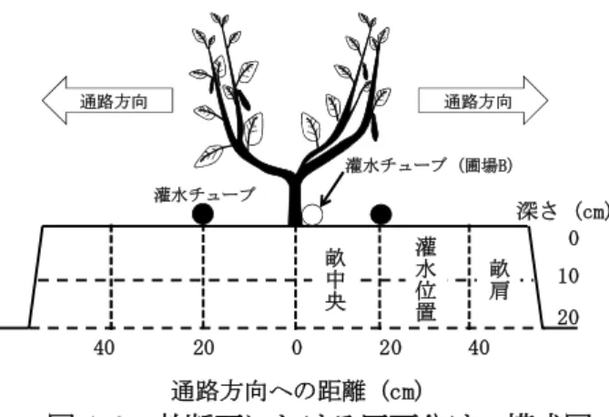 図 4.2 畝断面における区画分けの模式図20通路方向への距離 (cm)40       20       0      20      40 深さ (cm)100灌水チューブ灌水チューブ（圃場B）畝中央灌水位置畝肩通路方向通路方向