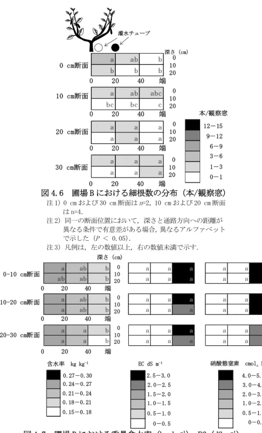 図 4.6 圃場 B における細根数の分布（本/観察窓） 注 1）0 cm および 30 cm 断面は n=2，10 cm および 20 cm 断面 は n=4． 注 2）同一の断面位置において，深さと通路方向への距離が 異なる条件で有意差がある場合，異なるアルファベット で示した（P ＜ 0.05） ． 注 3）凡例は，左の数値以上，右の数値未満で示す．aabbbbbaababcbcbccaaaaaaaaaaaa0     20     40    端0 cm断面10 cm断面20 cm断面深さ (cm)