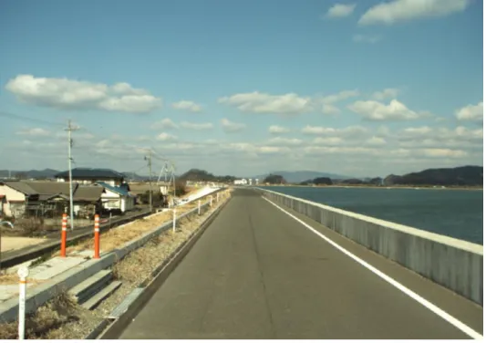 図  2-21  特殊堤付近の現況写真 