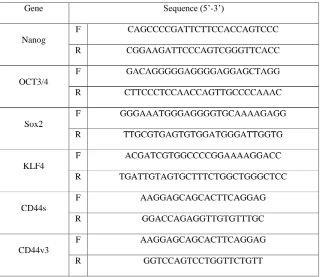 Table 1 :  Primer sequences used in RT-qPCR analysis. 