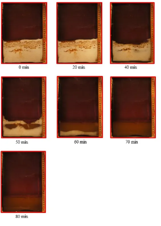 Figure 5.16: Visual observation of melting process at 1.0 kg/min oil flow rate.