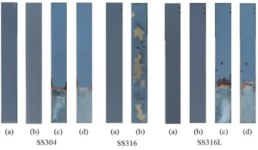 Figure 3.14: Plates condition of SS304, SS316 and SS316L plates with spray Rust Oleum.