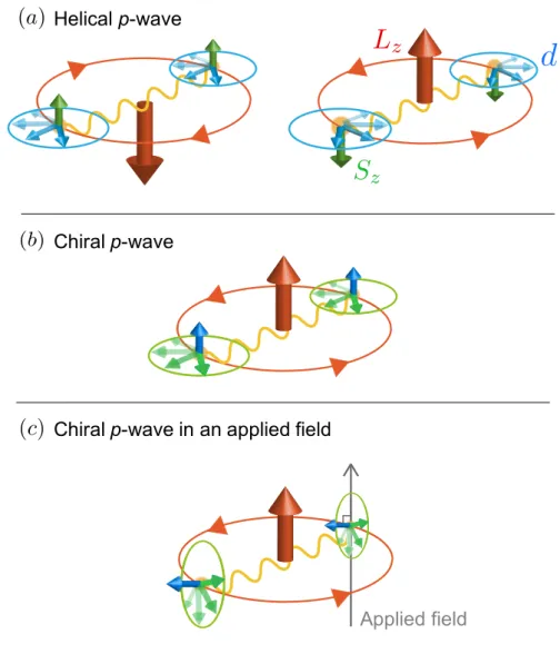 Fig. 2.2 The schematic figures for S and d of the Cooper pair in the spin-triplet (a) helical p-wave and (b) chiral p-wave pairing states, and (c) chiral p-wave state as d ⊥ H.