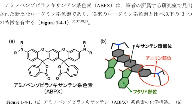 Figure 1-4-1.（a）アミノベンゾピラノキサンテン（ABPX）系色素の化学構造。（b）