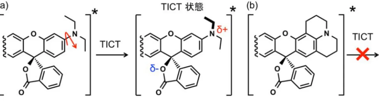 Figure 2-1-20.  光励起状態において  TICT  機構により（ a ） CS  状態を形成できる分子構造 と（ b ）形成できない分子構造