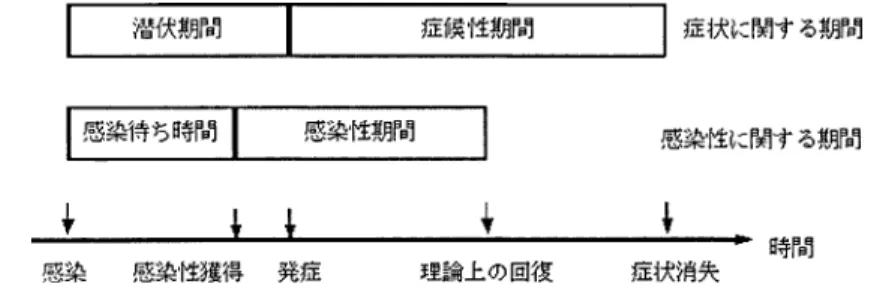 図 3. 症状と感染性を根拠にしたパラメータの定義．潜伏期間（incubation period）は感染か ら発症までの期間なのに対して感染待ち時間（latency period）は感染から感染性獲得ま でを意味する．症候性期間（symptomatic period）は症状を有する期間なのに対して感 染性期間（infectious period）は感染性を有する期間を指す．通常，潜伏期間は感染待ち 時間よりも若干長い傾向にあり，症候性期間は感染性期間よりも長い傾向にある． ここで ε は暴露後に感染性を得る