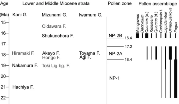 Fig. 6. Schematic, stratigraphic position of the Setouchi Miocene Series in the Tono district; proposed correlation to the Neogene  pollen zones; and schematic stratigraphic distribution and abundance of the selected pollen taxa in the area