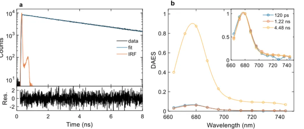 Fig. 5. Time-resolved fluorescence spectroscopy of detergent solubilized LHCII of B. corticulans