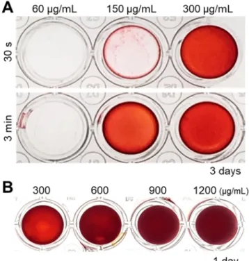 Figure 5. (A) Analysis of the optimal concentration of cell nanofragments obtained from ATDC5  cells