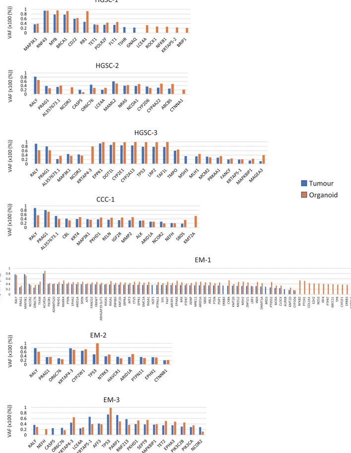 Figure 3.  Prevalence of subclonal populations as revealed by the examination of variant allele frequency (VAF)