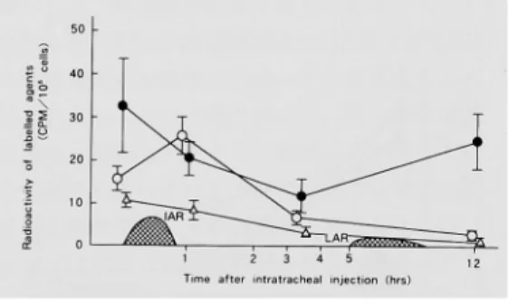 Fig.  6  Time course  of 125I‑ascaris,  cell  number   and cellular  classification  of BAL  cell   (106  cells)  from asthmatic  responder  fol