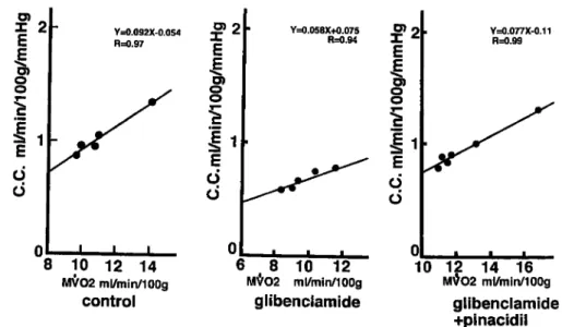 Fig.  2  Representative  relationship  between  MVO2  and  coronary  conductance  obtained  in  a  dog.