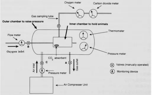 Fig.  1  A  block  diagram  of  a  hyperbaric  oxygen  chamber  for  small  animals