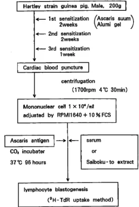 Fig.  1  Method  for  lymphocyte  blastogenic  response  to  ascaris  antigen.