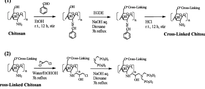 Fig. 2 Capacity of IDP-type chitosan resin at pH 4 IDP-type chitosan resin : 1 ml ; U(VI) and Cu(II) added : 0.1 M, 100 ml ; q : quantity of metals adsorbed on the resin