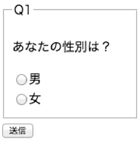 図 1 択一式入力項目の Web のビュー 